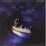 Ocean Rain (LP Vinyl)