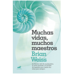 Muchas vidas, muchos maestros