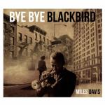 Bye Bye Blackbird (LP Vinyl)