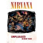 MTV Unplugged in New York (DVD)