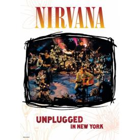 MTV Unplugged in New York (DVD)