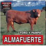 Toro Y Pampa (Vinilo)