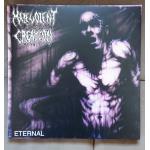 Eternal (Limited Colored Vinyl, Gray, United Kingdom - Import)