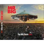 The BIG Finish Live - 2 MQA-CD + Gift 