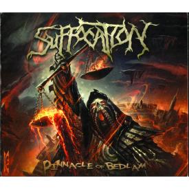 Pinnacle Of Bedlam (CD+DVD) (Limited Edition) (Digipak)