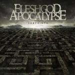 Labyrinth (Jewel Case)