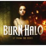 Up From The Ashes (Jewel Case)