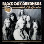 Ain't Life Grand (LP Usado)