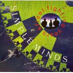 Street Fighting Years (LP Usado Muy Bueno)