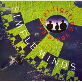 Street Fighting Years (LP Usado Muy Bueno)