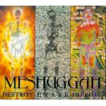 Destroy Erase Improve (CD)