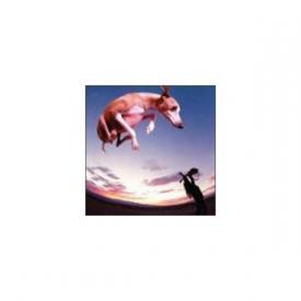  Flying Dog