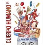 CUERPO HUMANO