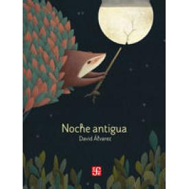 NOCHE ANTIGUA