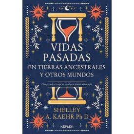 VIDAS PASADAS