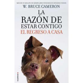 RAZON DE ESTAR CONTIGO REGRESO A CASA