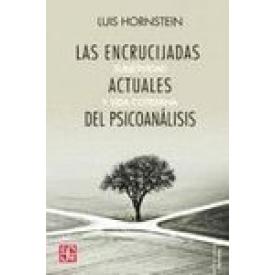 LAS ENCRUCIJADAS ACTUALES DEL PSICOANA