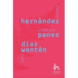 HERNANDEZ PANES DIAZ WANTEN