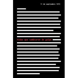 VIDAS QUE CAMBIARON DE GOLPE