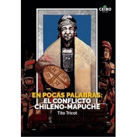 EN POCAS PALABRAS EL CONFLICTO CHILENO