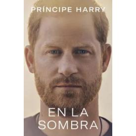 EN LA SOMBRA