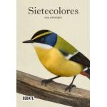 SIETECOLORES