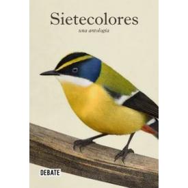 SIETECOLORES