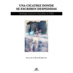 UNA CICATRIZ DONDE SE ESCRIBEN DESPEDI