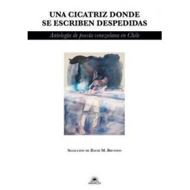UNA CICATRIZ DONDE SE ESCRIBEN DESPEDI