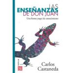ENSEANZAS DE DON JUANLAS