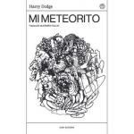 MI METEORITO
