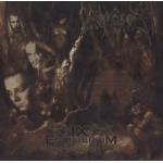 IX Equilibrium
