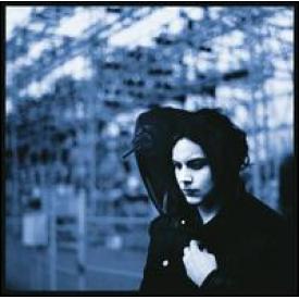 Blunderbuss (LP Vinyl)